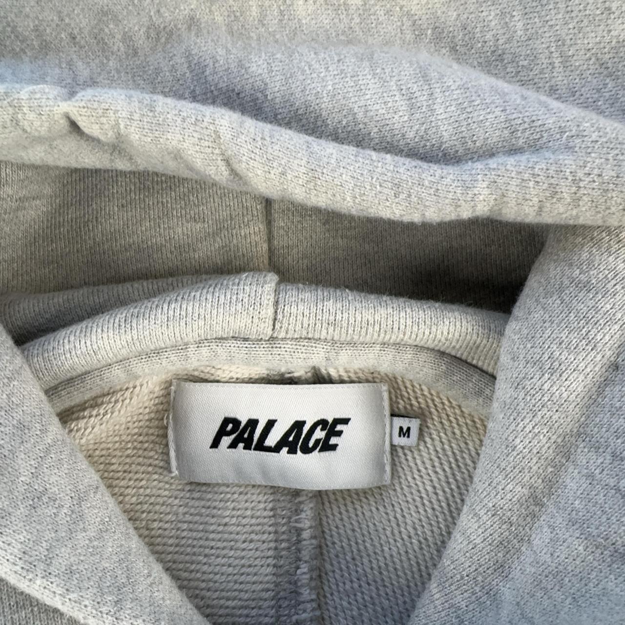 Palace Hoodie in Grey Size