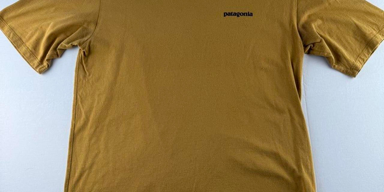 Patagonia Organic Cotton Mustard Uprisal T-Shirt S