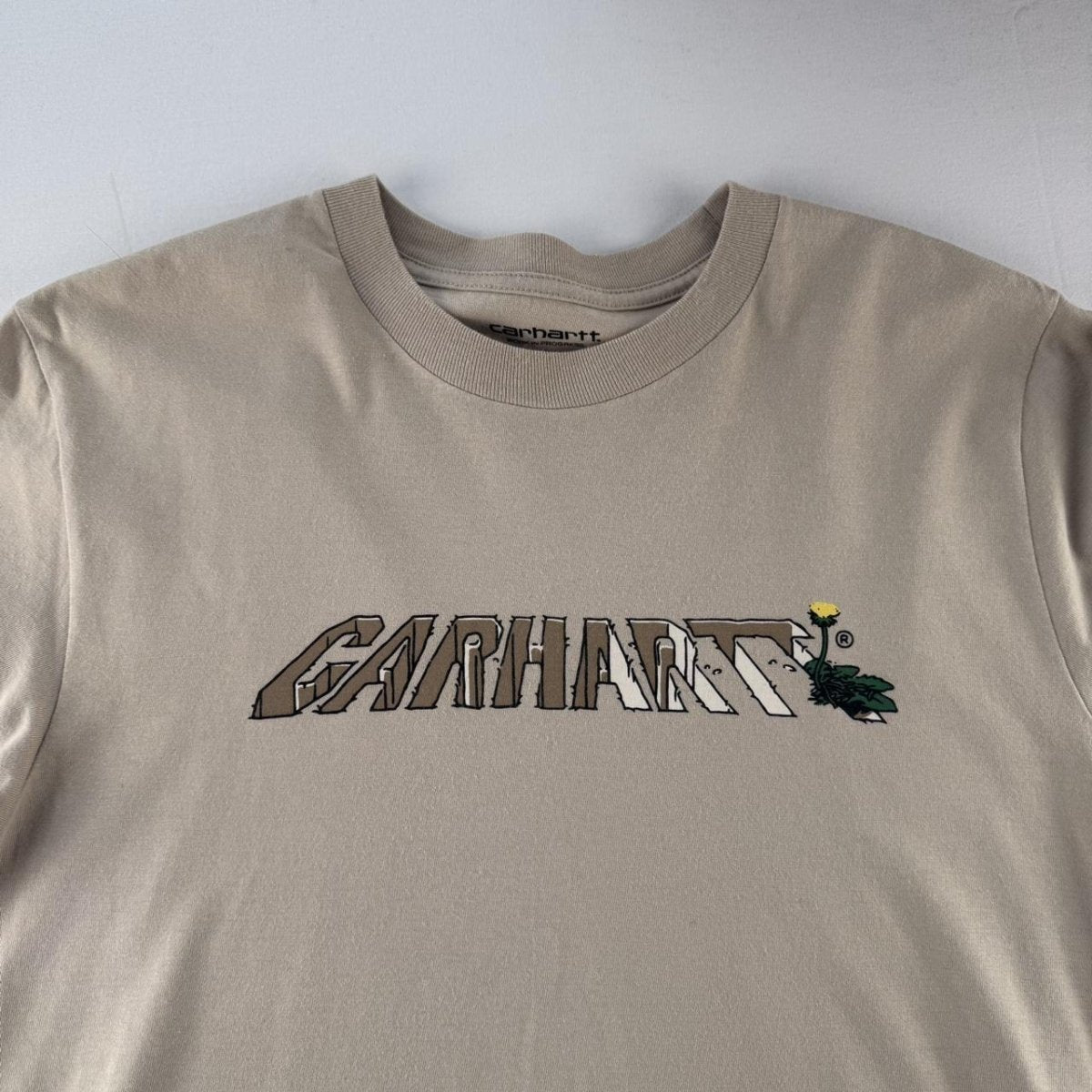 Carhartt WIP Dandelion Script Spellout T Shirt S - Threads Uncovered