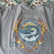 Early 2000s Billabong Graphic Oversized T-Shirt XL - Threads Uncovered